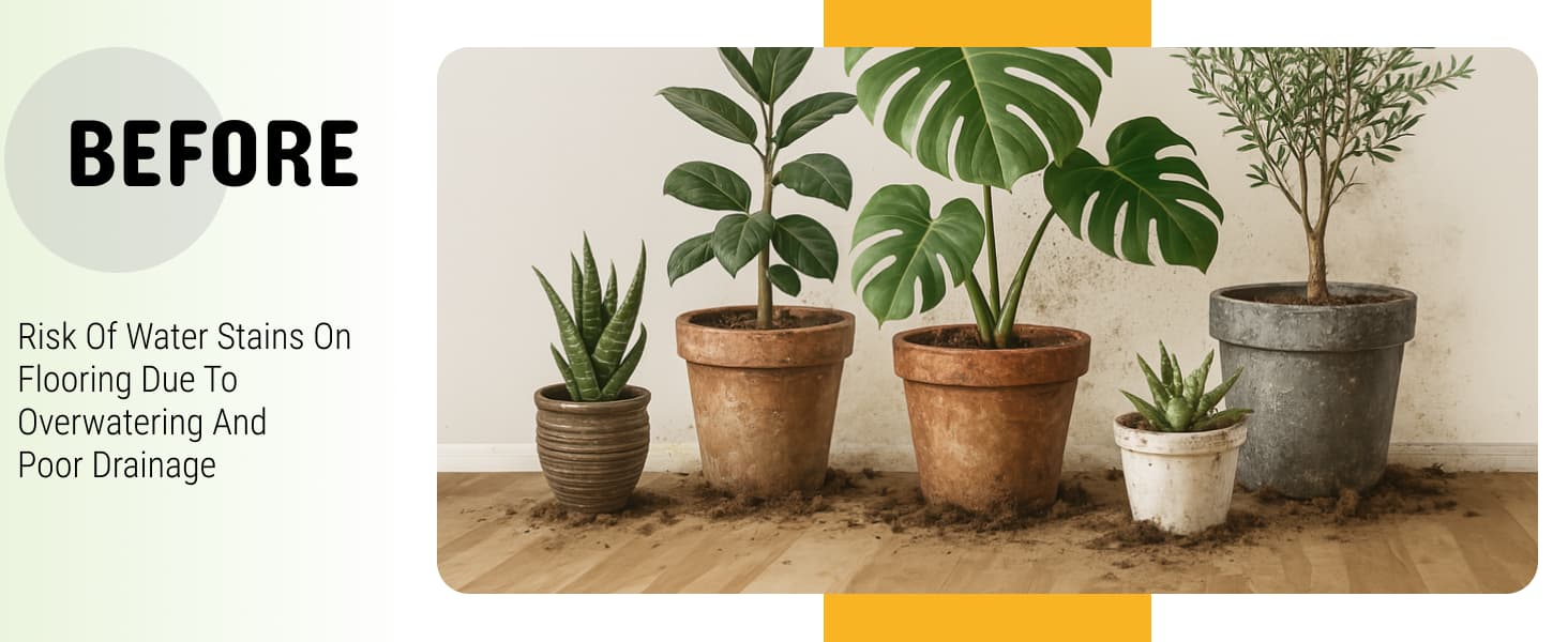 8838fa3b-5527-43b9-b92d-bc06bc051679.__CR0,0,1464,600_PT0_SX1464_V1___