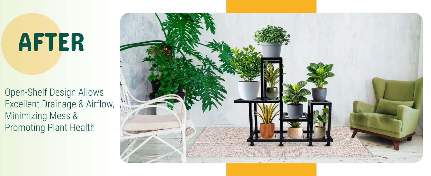 e491b5b4-b99a-4550-bc32-f3898c35d18a.__CR0,0,1464,600_PT0_SX1464_V1___